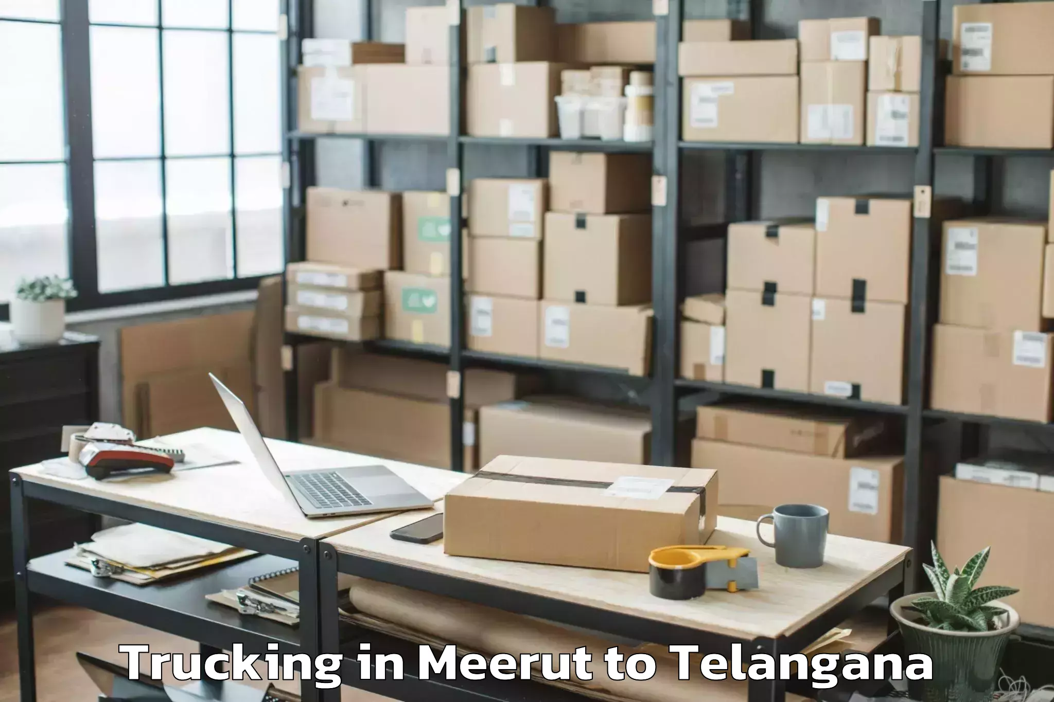 Book Meerut to Pinapaka Trucking Online